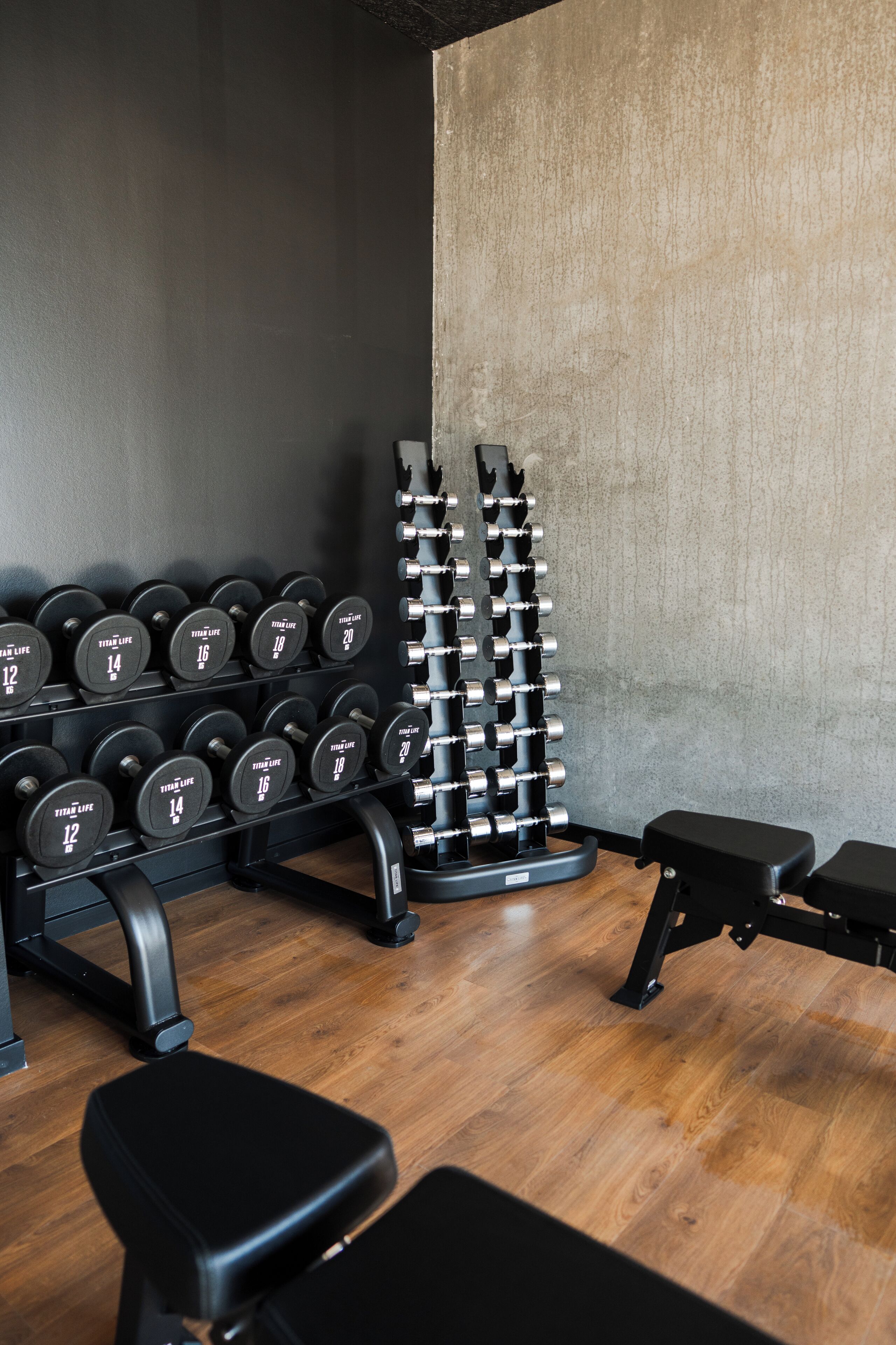 A gym with black dumbbells, a bench, and a rack of weights.