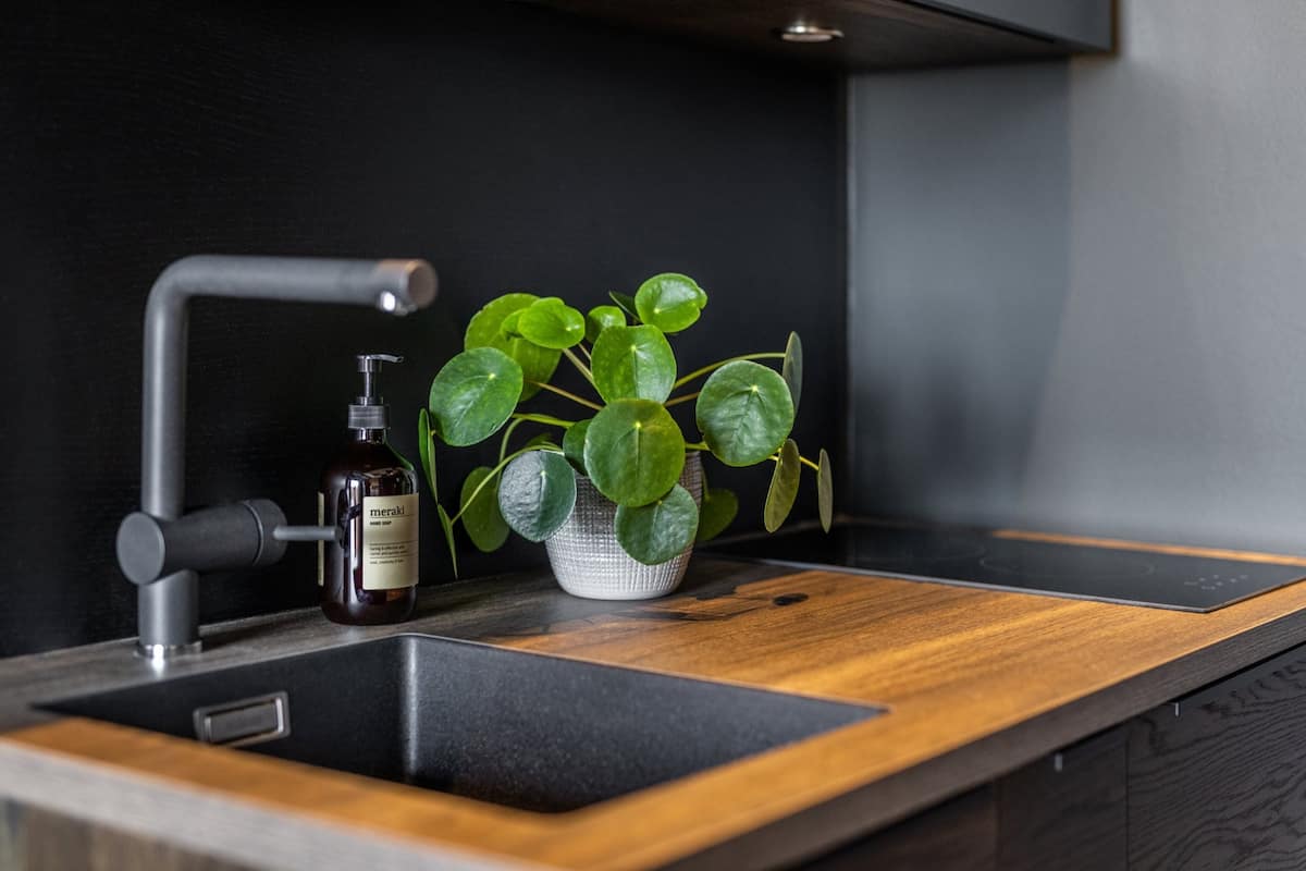 studio, 1 double bed, kitchenette | private kitchenette