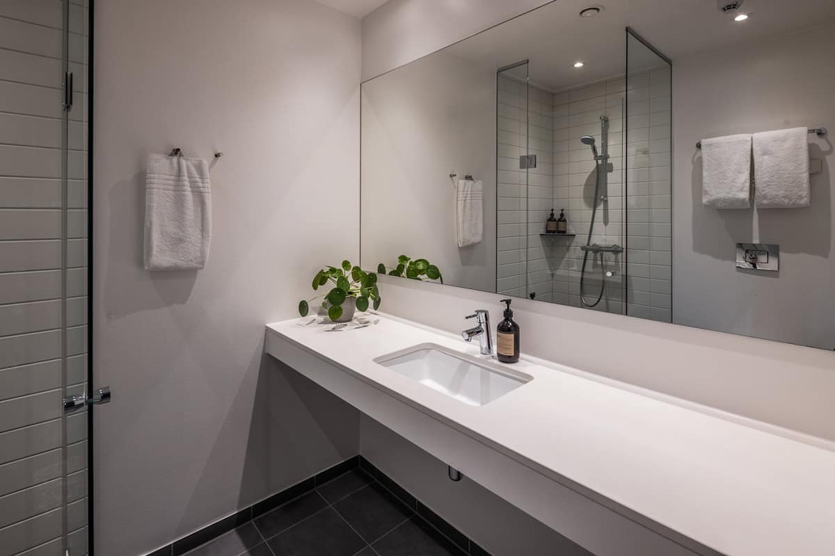 shower, free toiletries, hair dryer, towels