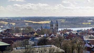 A town with historic buildings, including a church with two towers, and a river in the background.