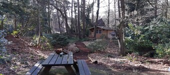 Knus Huisje in het bos