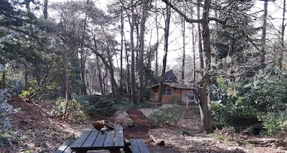 Knus Huisje in het bos