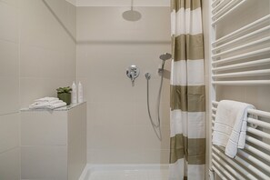 Shower, hair dryer, bidet, towels