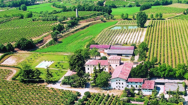 An aerial view of a vineyard with rows of grapevines, a large building with a red roof, and a small pond. - Agriturismo Colombare Teboi (Colombare)