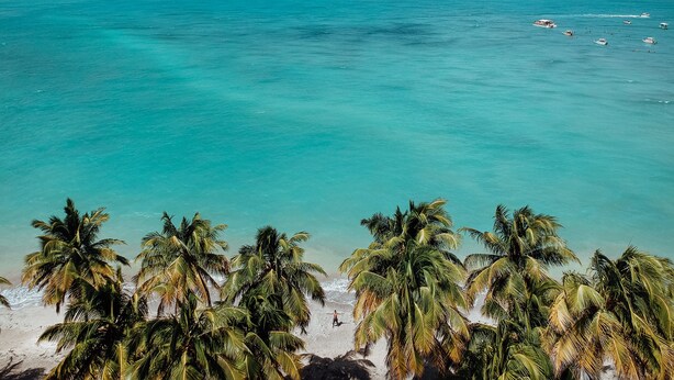 A beach with turquoise water, palm trees, and boats. - Pousada Ponta de Mangue (Maragogi)