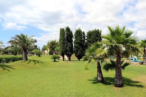 Vue sur le parc