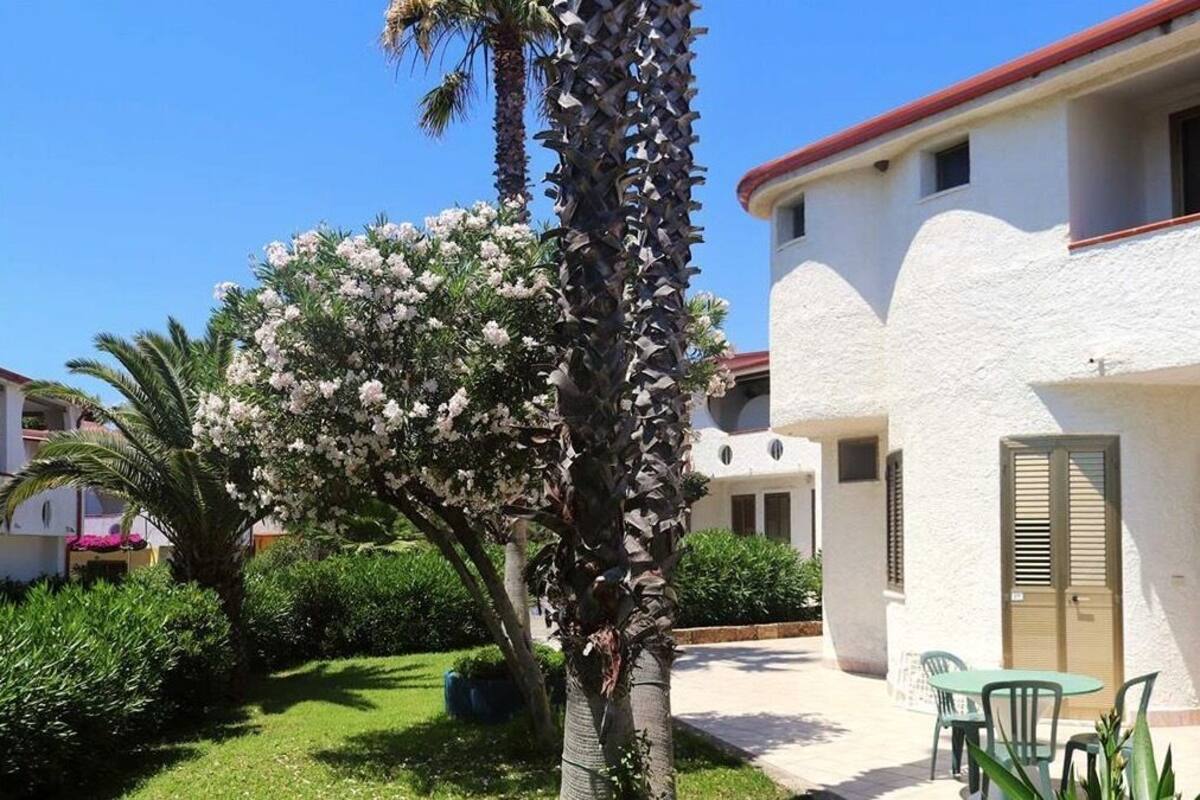 A white building with a red roof, a palm tree with white flowers, and a small table with chairs.
