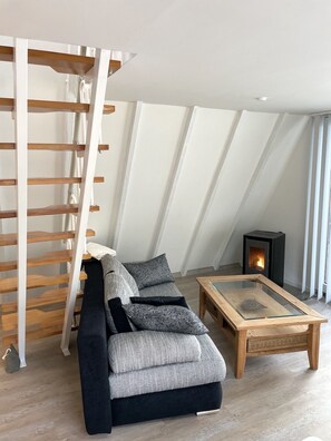 تلفزيون ذكي، مدفأة، مشغل دي في دي، كُتُب