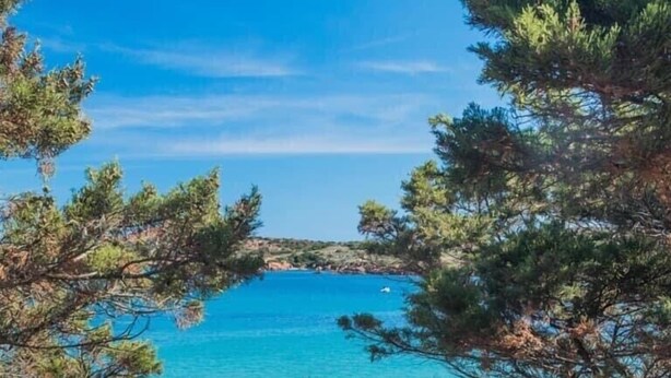 Un paisaje costero con aguas turquesas cristalinas, costa rocosa y pinos enmarcando la vista.