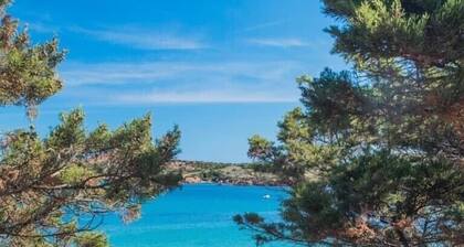 Sweet Home Suite & Relax