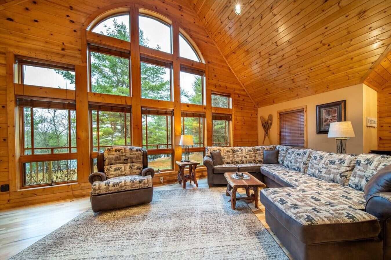 TV connectée, cheminée, lecteur de DVD, vidéothèque