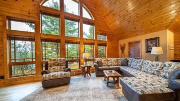 Smart TV, caminetto, lettore DVD, videoteca