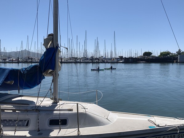 Puerto deportivo con varias embarcaciones amarradas, cielo despejado y agua tranquila.