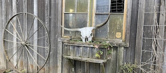 Beautifully decorated Cottage on 30 acre ranch, accommodations for horses extra 