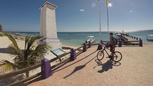 A paved walkway with a bicycle, a palm tree, and a view of the beach and ocean.
