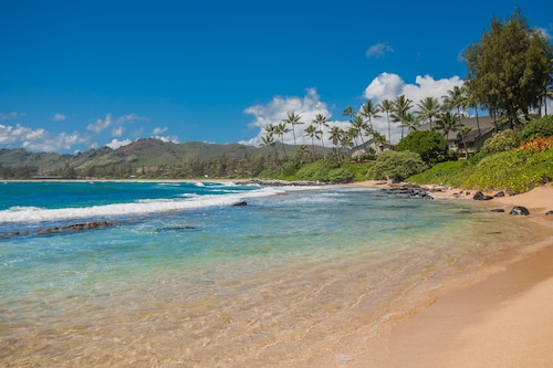 A True Oceanfront Condo! Freshly Updated! Centrally Located 5 Star Views! 