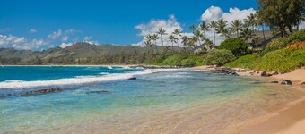 A True Oceanfront Condo! Freshly Updated! Centrally Located 5 Star Views! 