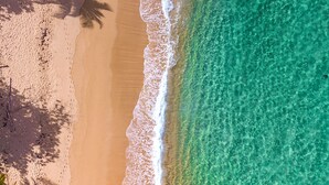 An aerial view of a beach with clear turquoise water, a sandy shore, and palm tree shadows. - Your own beach house, private pool & pickle ball court, steps to beach.  (Sabana, Vega Alta, Puerto Rico)