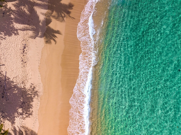 Playa en los alrededores, camastros y toallas de playa
