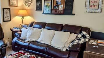 Smart TV, fireplace, DVD player, books