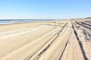 Sun-loungers, beach towels - Beautiful Secluded Carova Beach House - Hot tub - Pet yard with access door (Corolla)