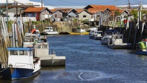 A marina with boats docked, wooden houses with red roofs, and a clear sky. - L'Albizia by Interhome (Gujan-Mestras)