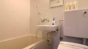 Combined shower/tub, hair dryer, slippers, bidet