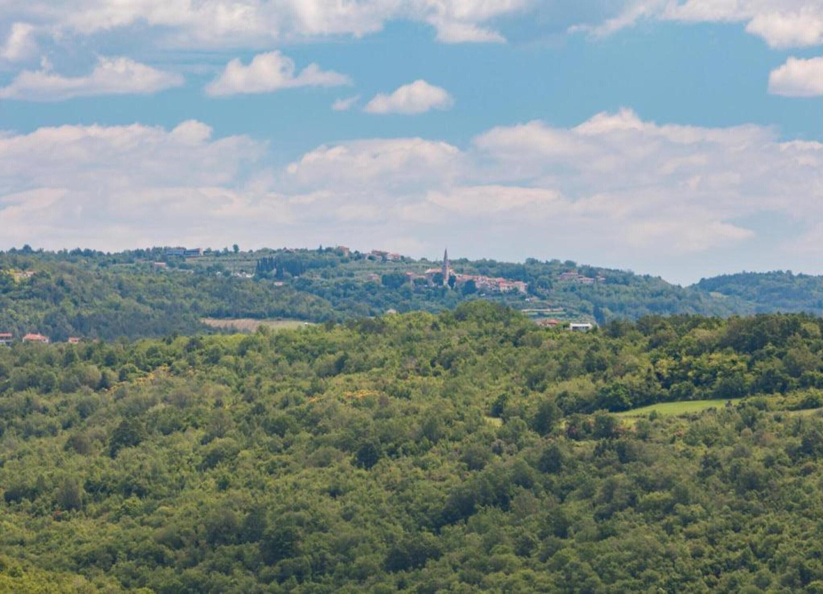 A landscape with a hill, trees, and a distant building with a tower.