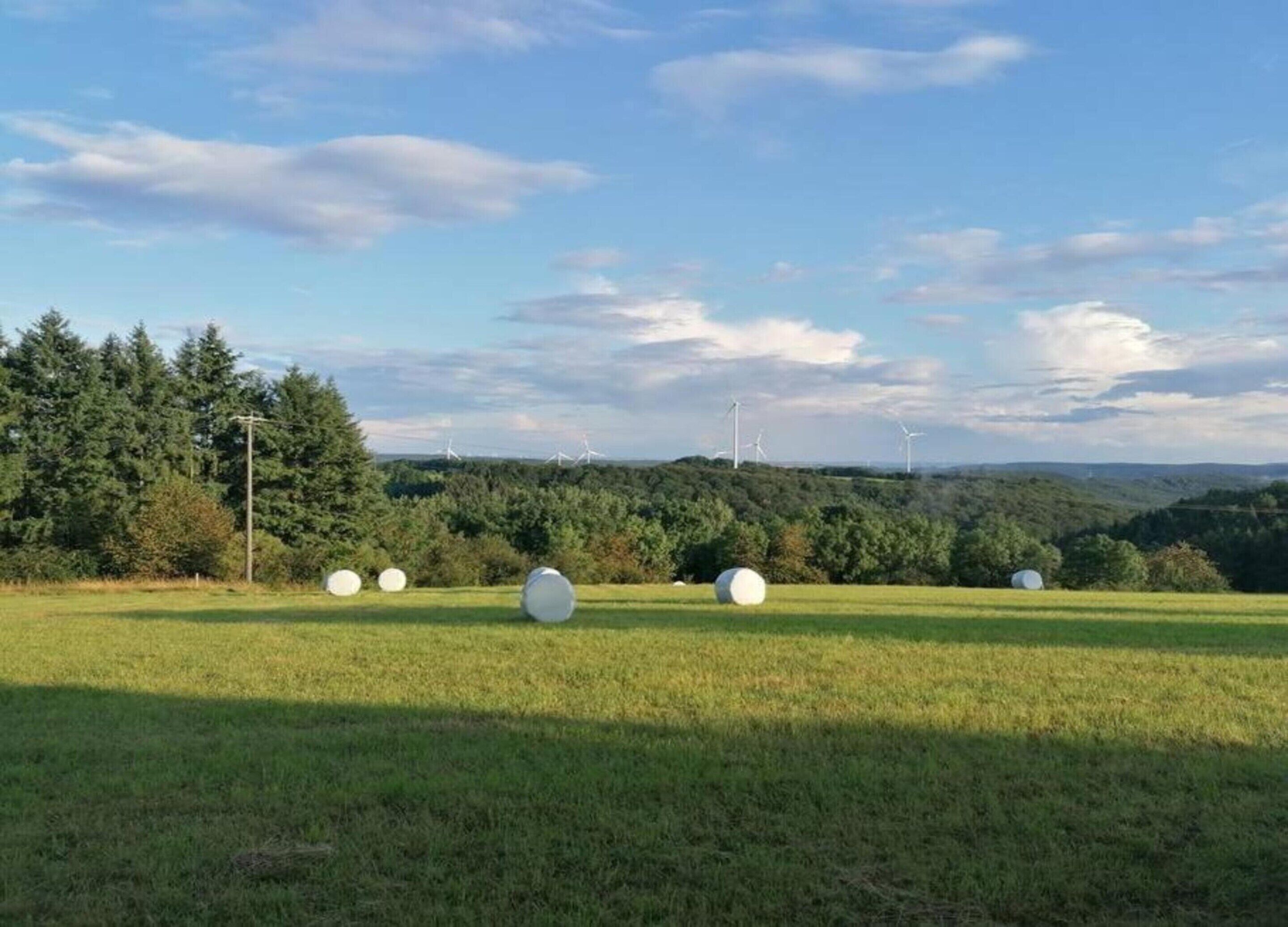 A grassy field with large white spherical objects and wind turbines in the background.