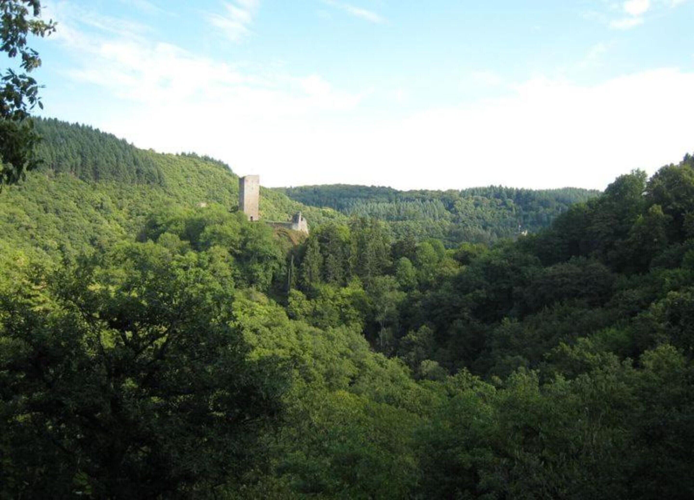 A castle on a hill surrounded by dense forest.
