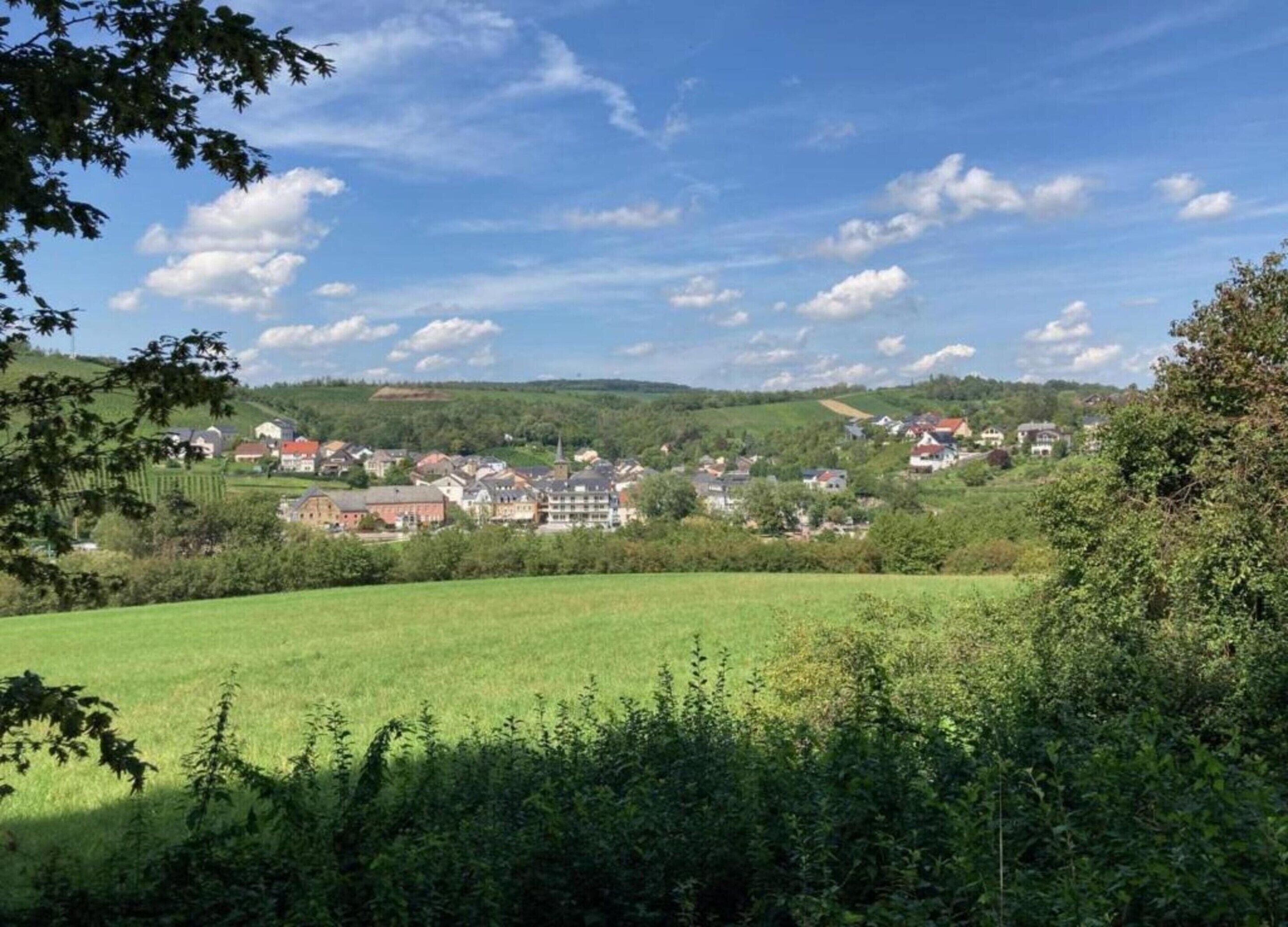 A rural landscape with a village, green fields, and scattered houses.