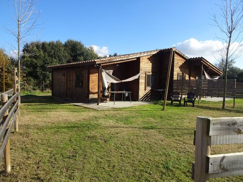 Idyllic Holiday Home in Ultramort With Swimming Pool