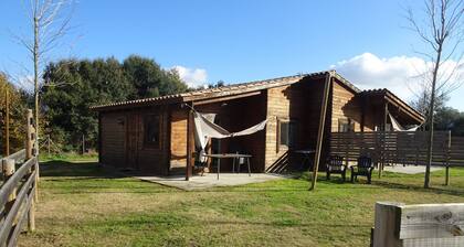Idyllic Holiday Home in Ultramort With Swimming Pool