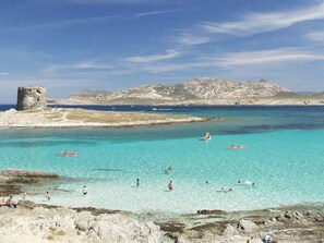 House | View from property - Apartment in Stintino Near La Pelosa Beach (Stintino)