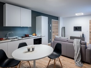 Apartment | Eigene Küche | Kühlschrank, Mikrowelle