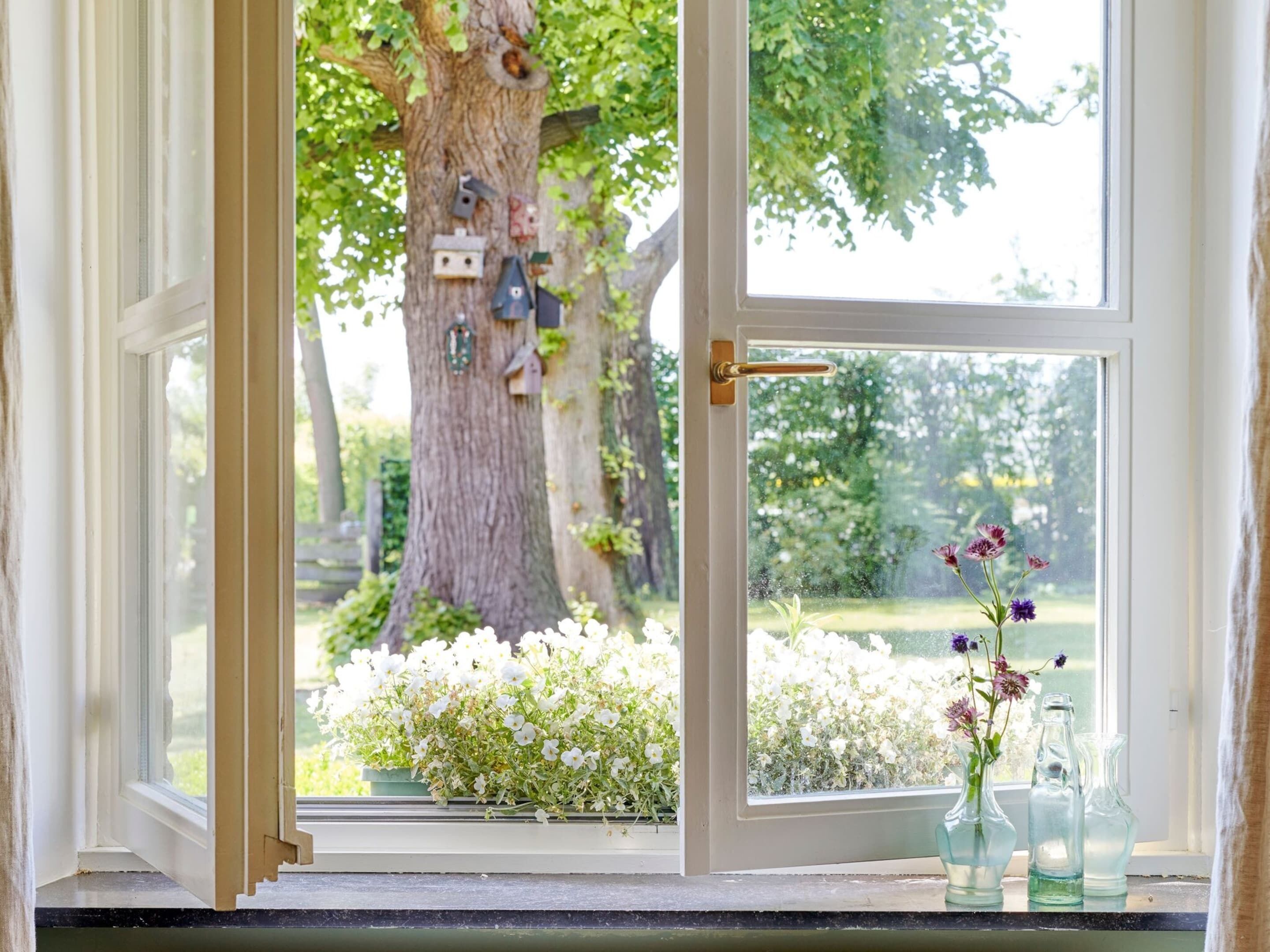 منزل | الإطلالة من المنشأة