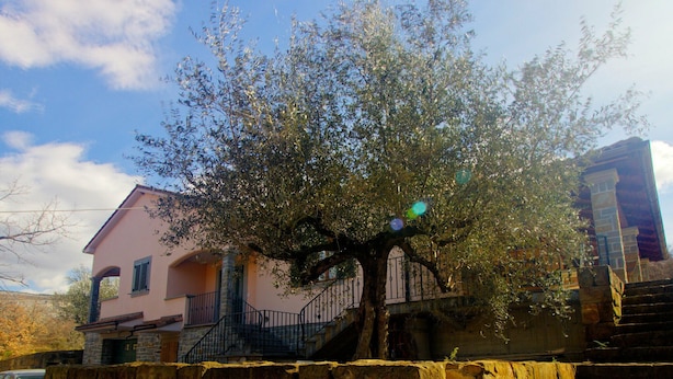Unclassified image, 1 of 28, button - Large Apartment in Hrastovlje With Private Swimming Pool (Koper)