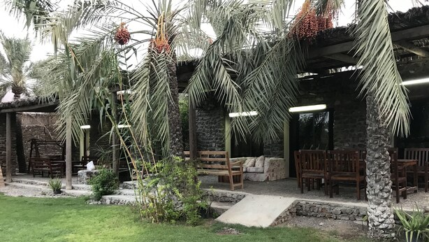 A patio area with stone walls, wooden furniture, and palm trees. - Among the Mountains (Mirbah)