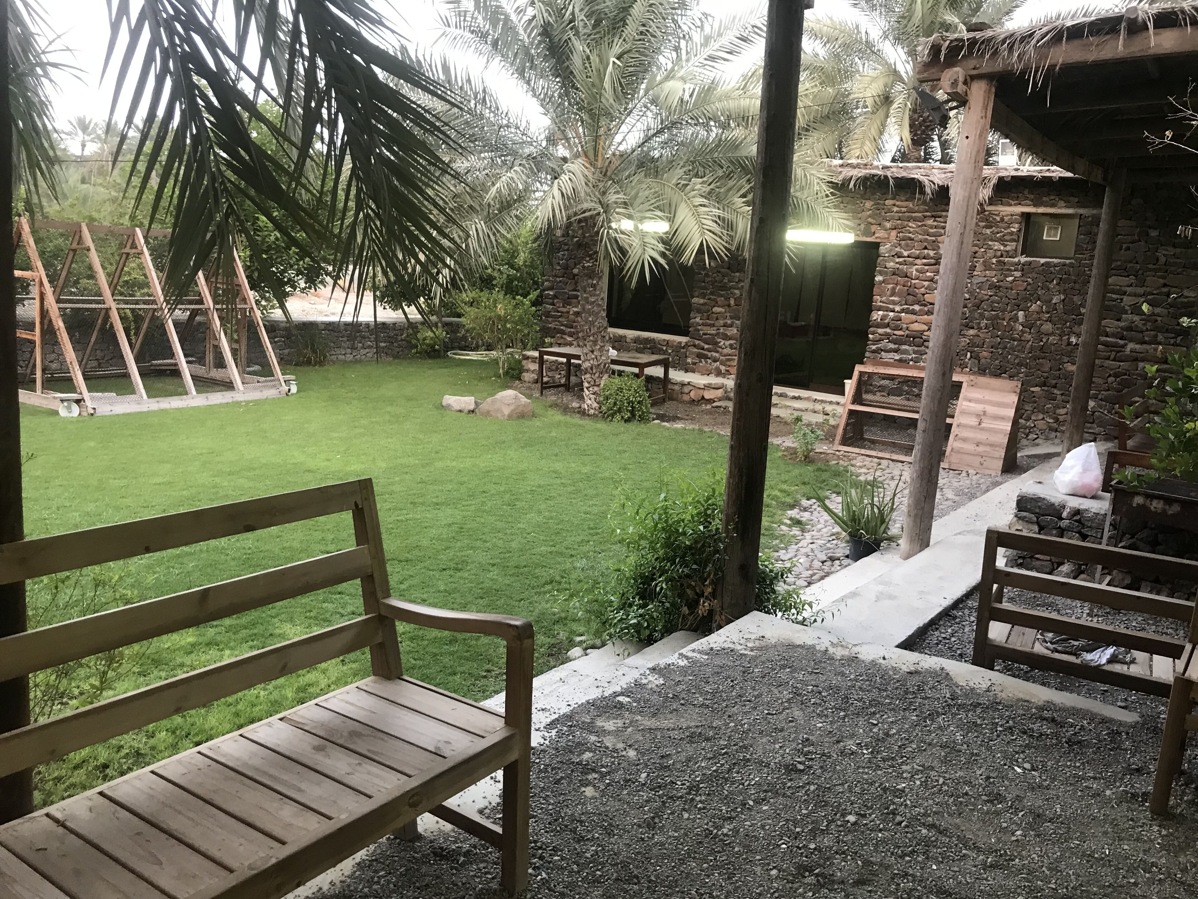 A wooden bench in a garden area with a stone wall and palm trees.