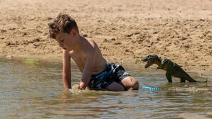 A child playing in shallow water at a beach with a dinosaur toy. - Neat Chalet With Microwave, Near Antwerp (Rijkevorsel)