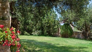 A lush garden with a stone wall, flowering plants, and a well-maintained lawn. - Villa in Tavronitis With Pool & Stunning Views (Platanias)