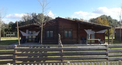 Spacious Holiday Home in Ultramort With Private Garden