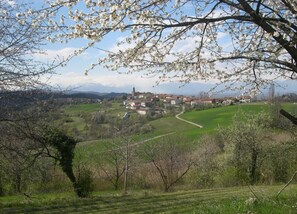 منزل | الإطلالة من المنشأة