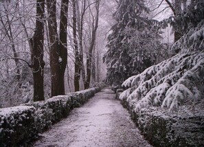 House | View from property