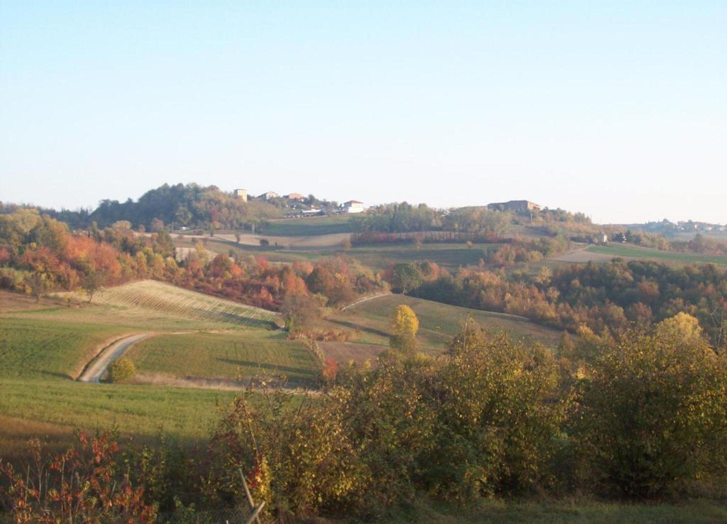 A rural landscape with rolling hills, fields, and scattered trees.