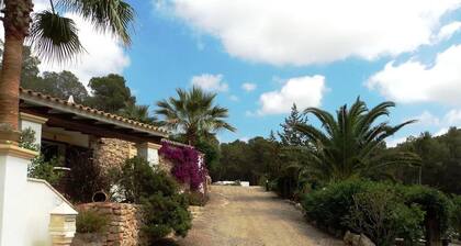 Captivating Bungalow in Santa Eulalia del Río With Solarium