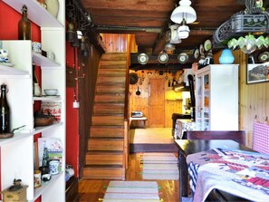 Fireplace, DVD player, books