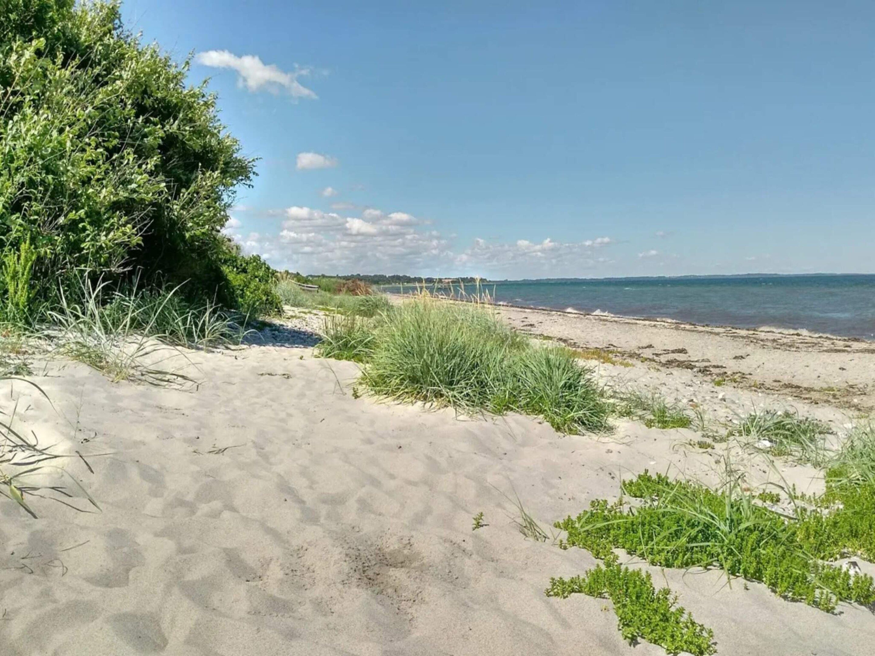 Una playa arenosa con vegetación verde y una vista despejada del océano.