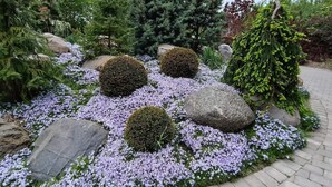 Ein Garten mit großen Steinen, violetten Blüten und verschiedenen Bäumen.