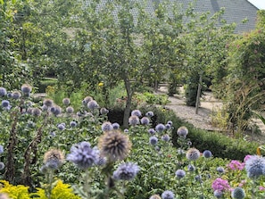 A garden with various plants and flowers, including purple thistles and yellow flowers. - 4 Star Holiday Home in Nordborg (Nordborg)
